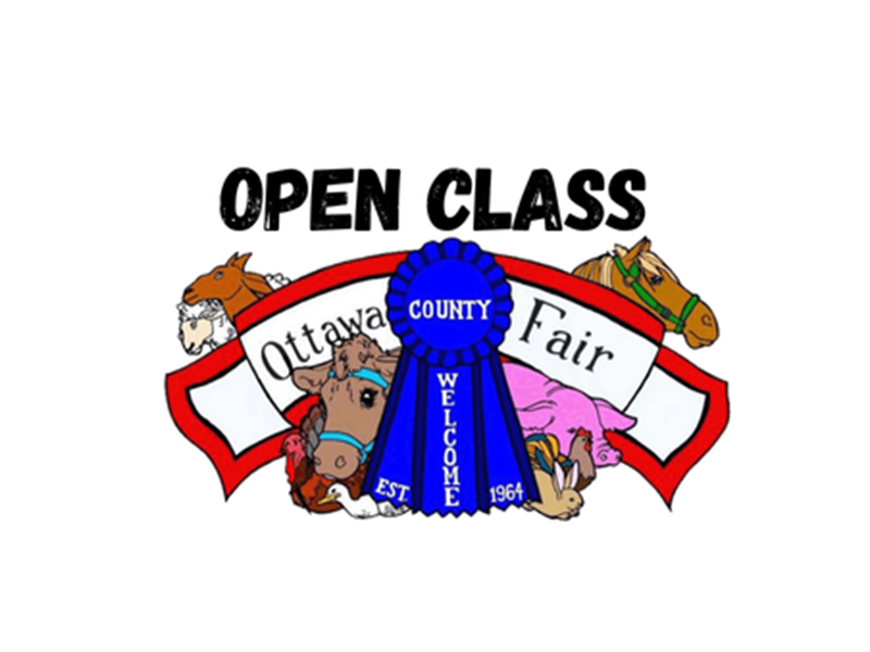 Fair Logo